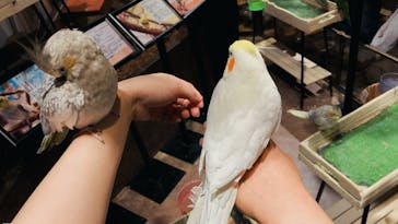 Moff animal world MARK IS みなとみらい店に投稿された画像（2021/9/20）