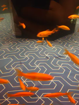 すみだ水族館に投稿された画像（2021/9/20）