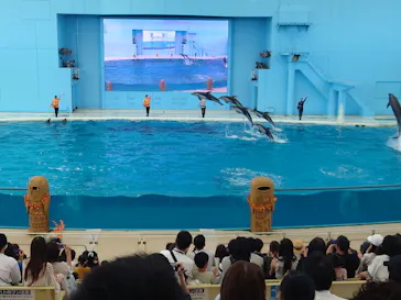 横浜・八景島シーパラダイスに投稿された画像（2021/9/20）