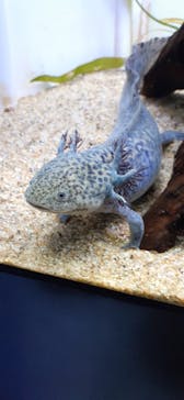 サンシャイン水族館に投稿された画像（2021/9/20）