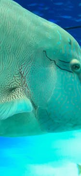 サンシャイン水族館に投稿された画像（2021/9/20）