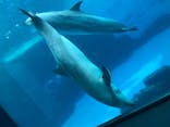 名古屋港水族館に投稿された画像（2021/9/20）