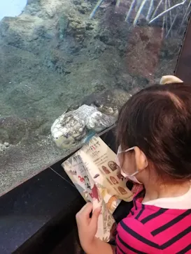 天王寺動物園に投稿された画像（2021/9/20）