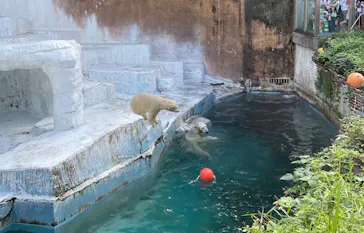 天王寺動物園に投稿された画像（2021/9/20）