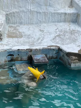 天王寺動物園に投稿された画像（2021/9/20）