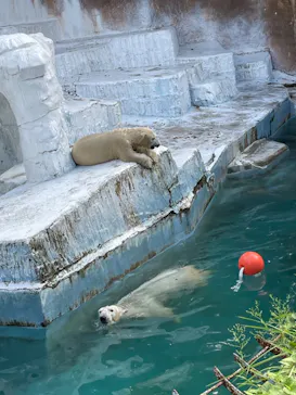 天王寺動物園に投稿された画像（2021/9/20）