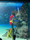 サンシャイン水族館に投稿された画像（2021/9/20）