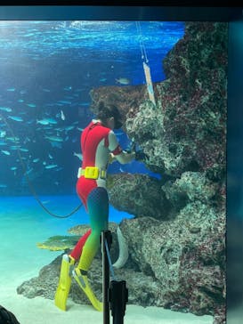サンシャイン水族館に投稿された画像（2021/9/20）