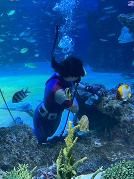 サンシャイン水族館に投稿された画像（2021/9/20）