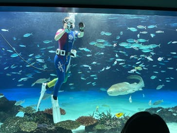 サンシャイン水族館に投稿された画像（2021/9/20）