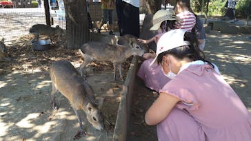 群馬サファリパークに投稿された画像（2021/9/20）