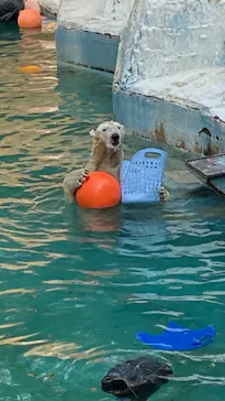 天王寺動物園に投稿された画像（2021/9/20）