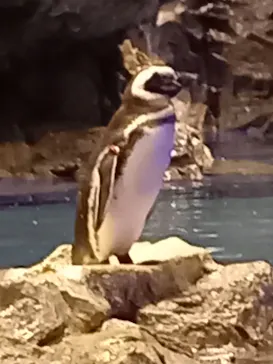 すみだ水族館に投稿された画像（2021/9/20）