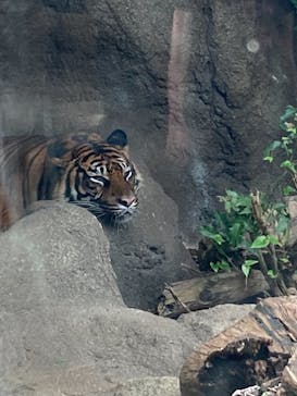 神戸どうぶつ王国に投稿された画像（2021/9/20）