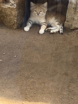 神戸どうぶつ王国に投稿された画像（2021/9/20）