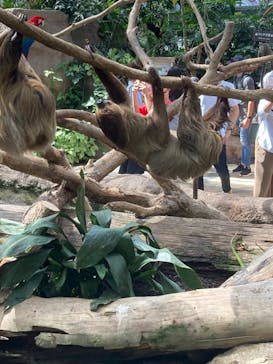 神戸どうぶつ王国に投稿された画像（2021/9/20）