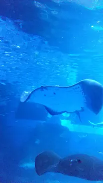 横浜・八景島シーパラダイスに投稿された画像（2021/9/20）