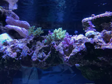 すみだ水族館に投稿された画像（2021/9/20）