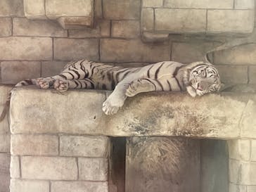 東武動物公園に投稿された画像（2021/9/20）