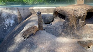 東武動物公園に投稿された画像（2021/9/20）