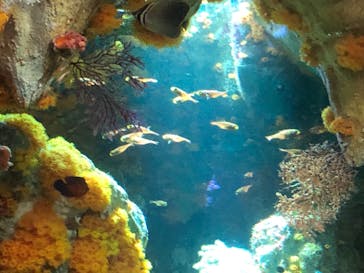 サンシャイン水族館に投稿された画像（2021/9/20）