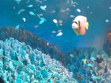 サンシャイン水族館に投稿された画像（2021/9/20）