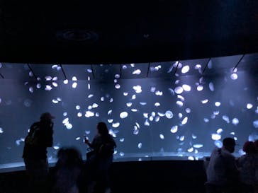 サンシャイン水族館に投稿された画像（2021/9/20）