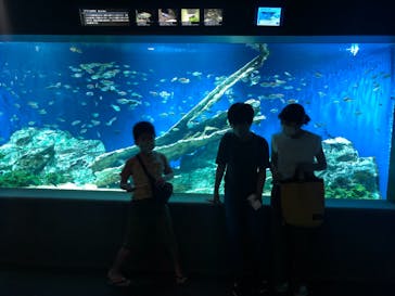 サンシャイン水族館に投稿された画像（2021/9/20）