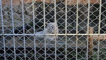 東武動物公園に投稿された画像（2021/9/20）