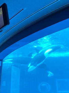 名古屋港水族館に投稿された画像（2021/9/20）