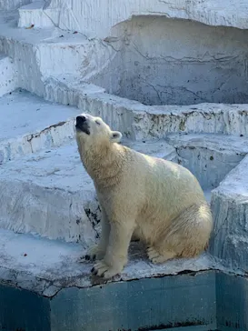天王寺動物園に投稿された画像（2021/9/20）