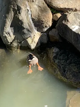 天王寺動物園に投稿された画像（2021/9/20）