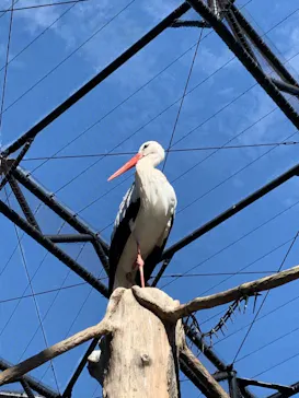 天王寺動物園に投稿された画像（2021/9/20）