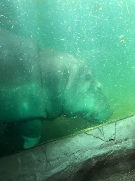 天王寺動物園に投稿された画像（2021/9/20）