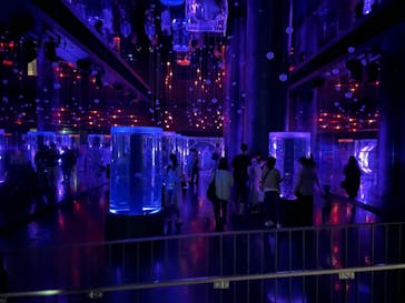 マクセル アクアパーク品川に投稿された画像（2021/9/20）