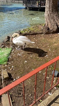 河口湖 音楽と森の美術館に投稿された画像（2021/9/20）