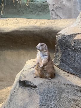 神戸どうぶつ王国に投稿された画像（2021/9/20）