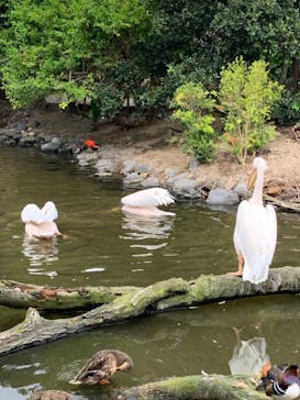 神戸どうぶつ王国に投稿された画像（2021/9/20）