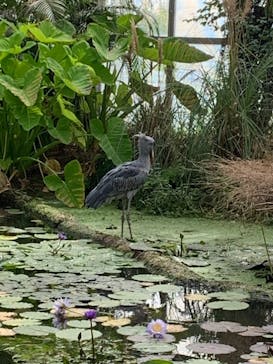 神戸どうぶつ王国に投稿された画像（2021/9/20）