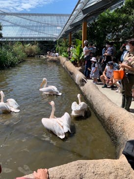 神戸どうぶつ王国に投稿された画像（2021/9/20）