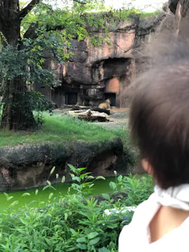 天王寺動物園に投稿された画像（2021/9/20）