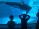 名古屋港水族館に投稿された画像（2021/9/20）