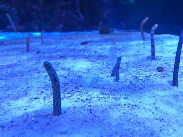 名古屋港水族館に投稿された画像（2021/9/20）