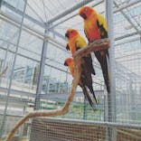 富士花鳥園に投稿された画像（2021/9/20）