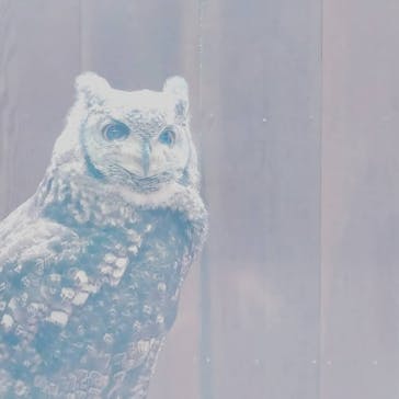 富士花鳥園に投稿された画像（2021/9/20）