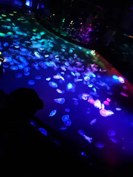 すみだ水族館に投稿された画像（2021/9/20）