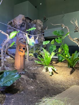 カワスイ 川崎⽔族館に投稿された画像（2021/9/20）