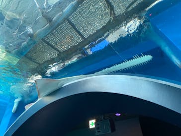 マクセル アクアパーク品川に投稿された画像（2021/9/20）