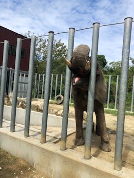 しろとり動物園に投稿された画像（2021/9/20）