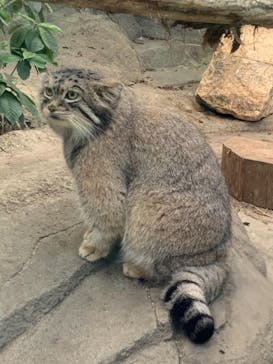 神戸どうぶつ王国に投稿された画像（2021/9/20）